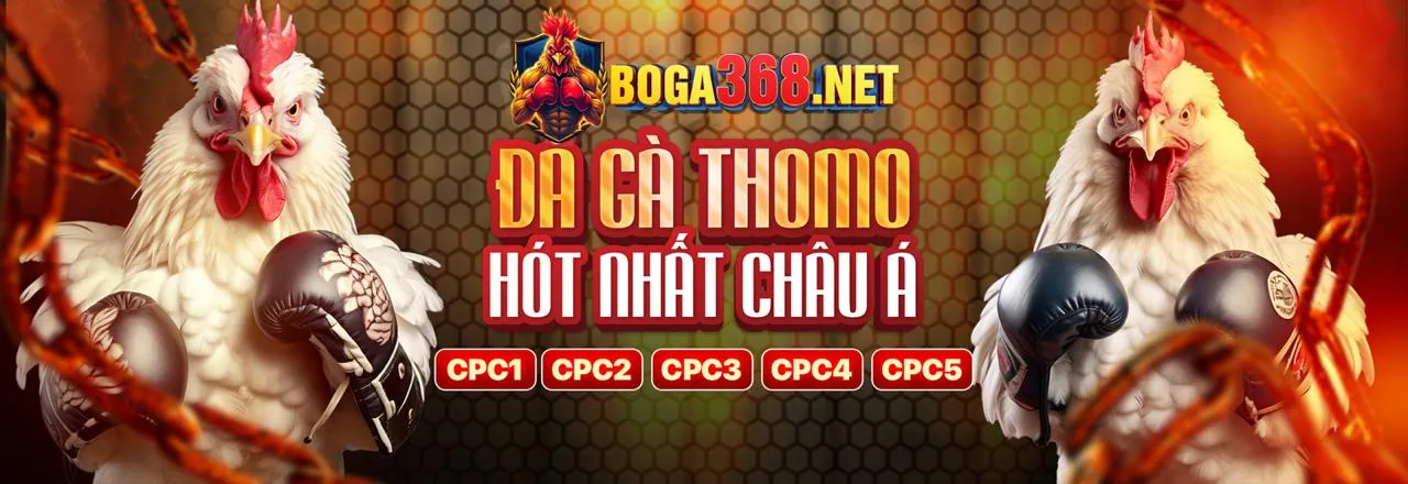 Đá Gà Trực Tuyến Sôi Động tại 84win Trang Chủ