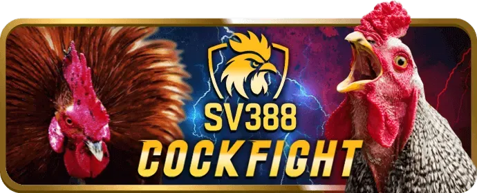 Cá cược các môn khác 84win